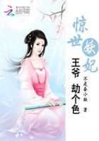 惊世狂妃王爷请下榻