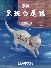 原神黑色猫