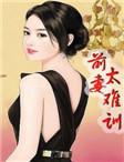 前妻难招架
