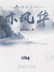 趁年少风华歌词