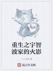 重生火影之宇智波天才
