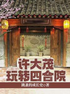 四合院许大茂从修车