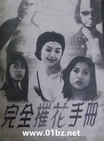 完全摧花手册舞鞋
