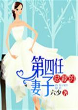 总裁的第八任妻子