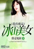我的极品冰山美女老婆TXTmp4