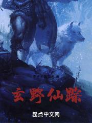 缘野仙踪的故事