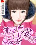 神秘总裁小小妻免费阅读