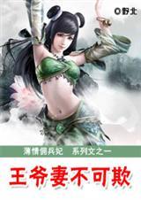 薄情佣兵妃嚣张女丞相