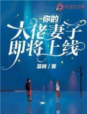 你的大佬妻子即将上线 蓝砖