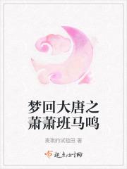 梦回大唐bgm