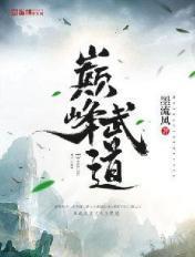 巅峰武道斩尽星空万