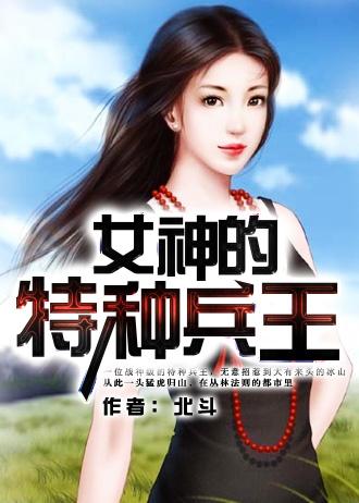 女神的特种保镖txt 老灰狼