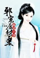霸道王爷俏医妃