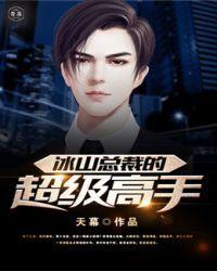 冰山总裁的超级高手免费观看