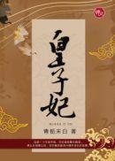 寒门皇子妃
