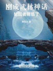 轮回武神顶点