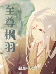 至尊羽翼