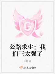 公路求生十三
