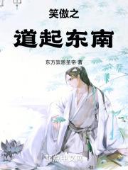 笑傲解释