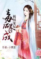 祸国妖王宠毒妃 作者一襟晚照