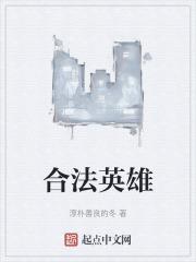 合法英雄 淳朴善良的冬