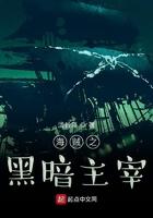 海贼之黑暗主宰无弹窗