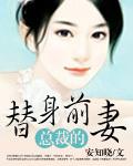 总裁的替身前妻短剧