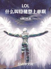 稳健怎么解释