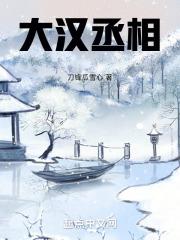 大汉丞相微信公众号作者
