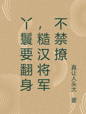 丫鬟与将军