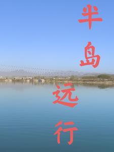 半岛是什么意思啊