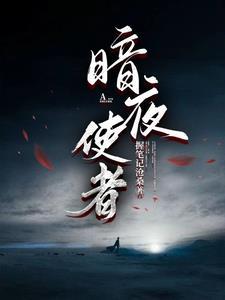 暗夜使者哪个职业