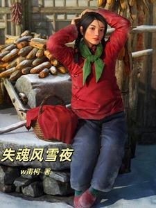 百味人生第一部失魂风雪夜gl