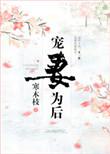 宠妻为后免费阅读
