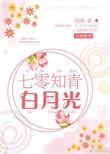 七零知青白月光銮音全文免费阅读