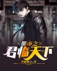 都市之君临天下国士无双