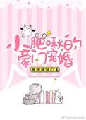 小肥啾宠爱手册无防盗四库