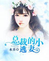 首席总裁的小逃妻