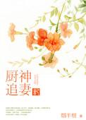 厨神追妻记书评