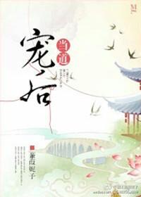 宠后当道百度
