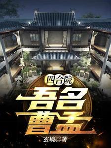 四合院之我成何雨柱