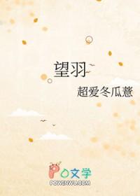 望羽中老年针织衫