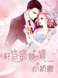 顾总的替身小娇妻