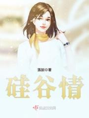 硅谷情侣