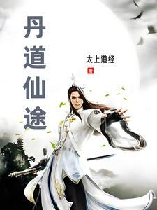 丹道仙途慕秀林