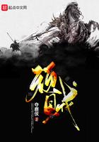 顽贼笔趣趣