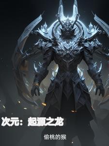 启元焚寂·次元龙打法