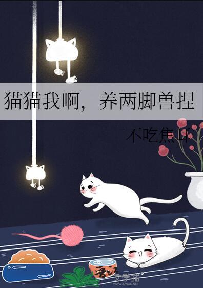猫猫我啊养两脚兽捏22