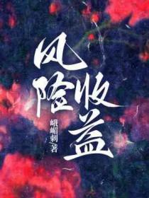风险收益率的大小取决于