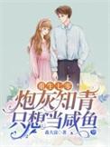 重生七零炮灰知青只想当咸鱼免费全文阅读